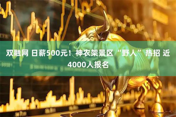 双融网 日薪500元！神农架景区 “野人” 热招 近4000人报名