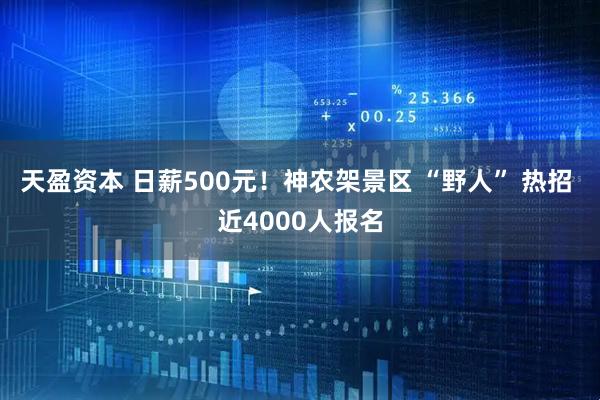 天盈资本 日薪500元！神农架景区 “野人” 热招 近4000人报名