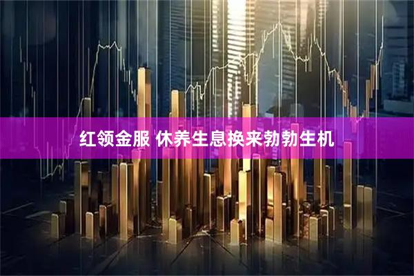 红领金服 休养生息换来勃勃生机